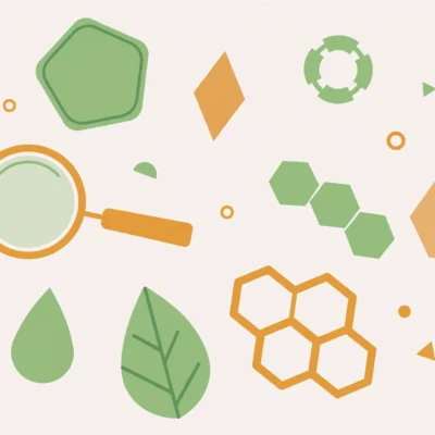 Flat illustration of a magnifying glass, leaf shapes, and molecule hexagons representing CBD vocabulary