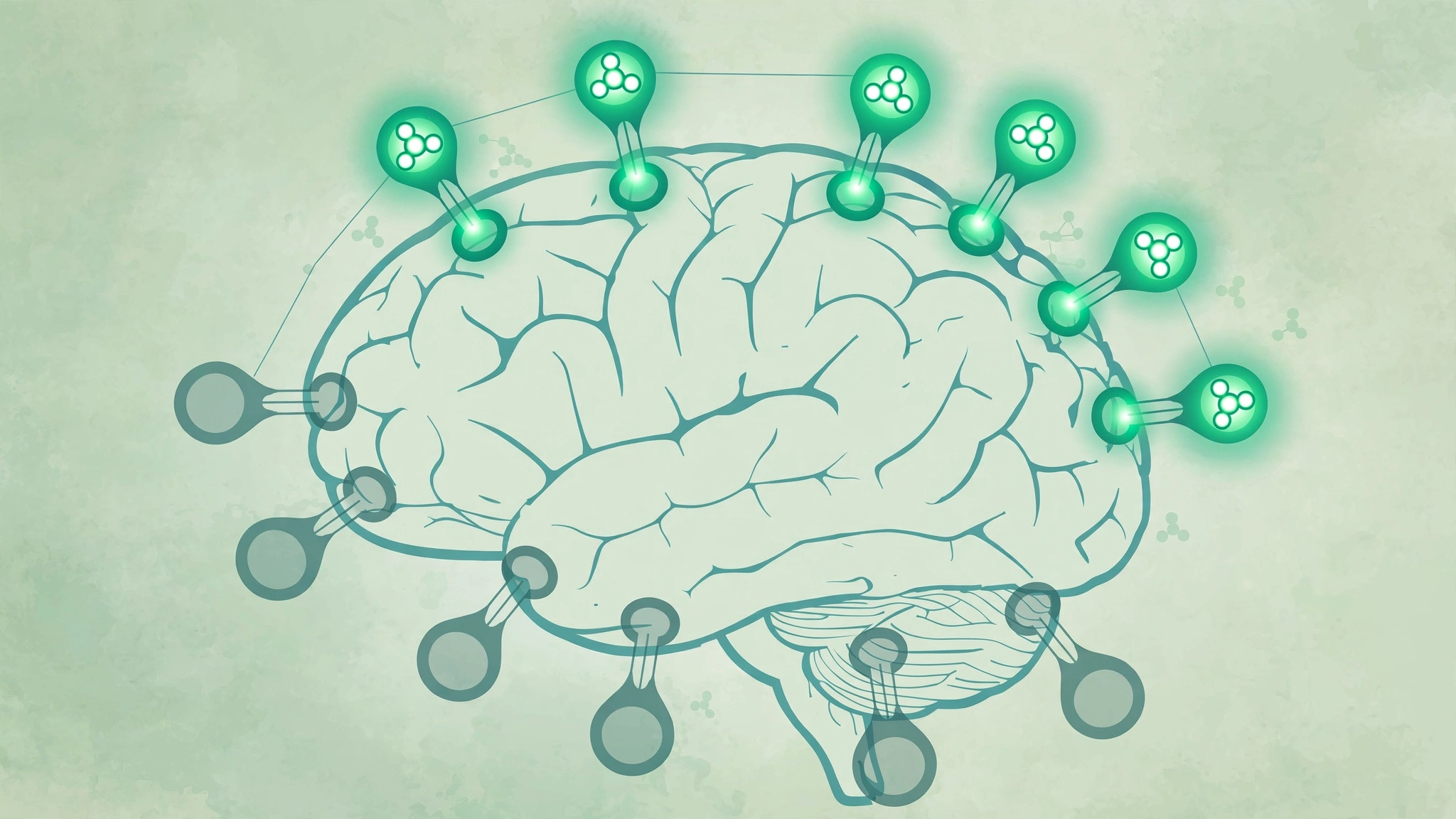 CBD vs THC: key differences explained